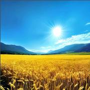 用户7221882159200的个人资料头像