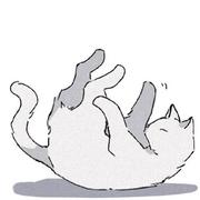 Yoke861的个人资料头像