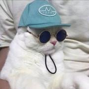 酋长大人的个人资料头像