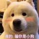 用户6593848941938头像
