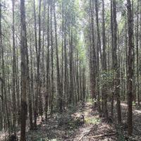 飞翔8771065682839头像