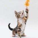 Gabriel本尊的个人资料头像