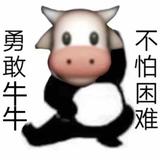 z5469484头像