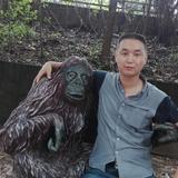 聪明的海洋yL头像