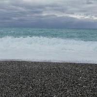 火车专业户头像