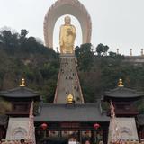 牛转乾坤596头像