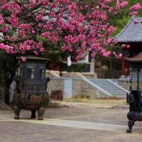 用镜头留住瞬间头像