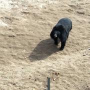 公子哥245的个人资料头像