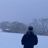 一起去北海道看雪头像