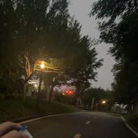 开朗逸的有点is头像