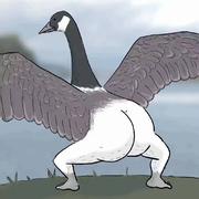 香草味可乐的个人资料头像