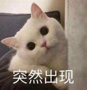 二球悬铃木丶的个人资料头像