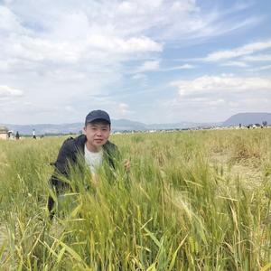 龙口徐先森头像