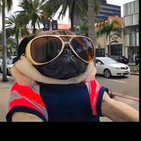 用户1302996223359头像