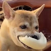 用户3067332406375头像