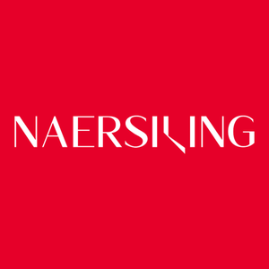 NAERSILING头像