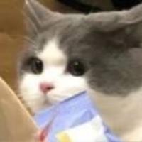 三途乄头像