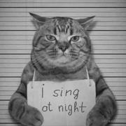 怦然心动zc的个人资料头像