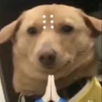 用户8663248174006头像