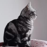 用户730307710119头像