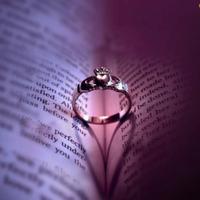 客观点评家头像