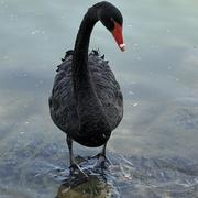 cLight的个人资料头像