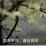 王亚亮486头像