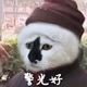 凉茶8370 · 驱逐舰05车主·车龄2年头像