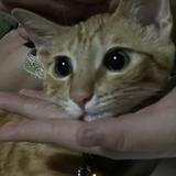 mmmmm鱼豆头像