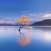 河野笑生的个人资料头像