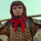 阿飞呀呀呀的个人资料头像