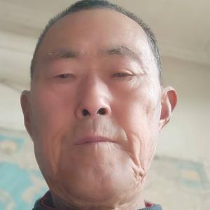 风趣百灵鸟g2头像