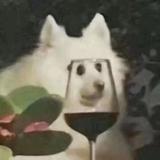 西西瓜sama头像