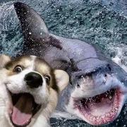 整点花活的个人资料头像