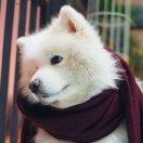 宝伯王爱学习的个人资料头像