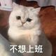 上进香瓜UG5 · 帕萨特车主·车龄半年头像