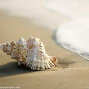 奔跑的Seedlings的个人资料头像