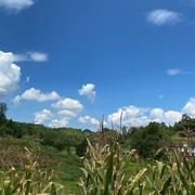 最佳人选的个人资料头像