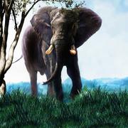 hearton的个人资料头像