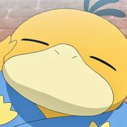 陈永仁lol的个人资料头像