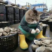 拾贰170的个人资料头像