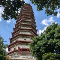 热爱科技与文化的朱头像