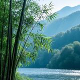 智者风铃OEs头像