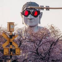 开朗生活家Kv头像