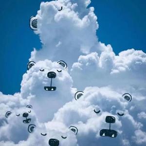 另外一个小杨哥头像