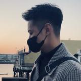 睿智的追风筝的人头像