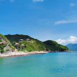 秦大叔1225头像
