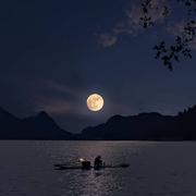 安妮的心动录685的个人资料头像