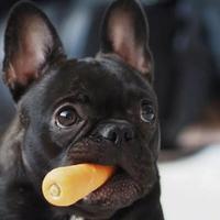 用户6047346322563头像