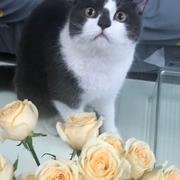 AKEI310的个人资料头像